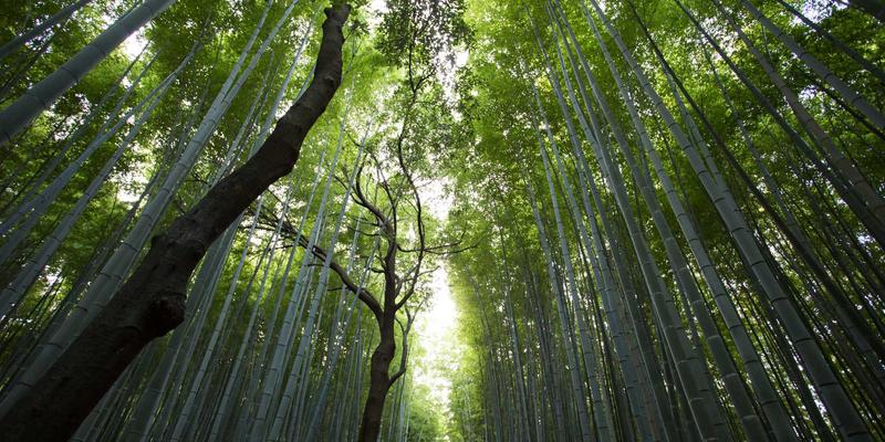 什么是架构评审？附详细图文教程